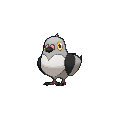 Sprite Pidove.png