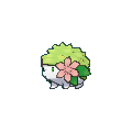 Sprite Shaymin.png